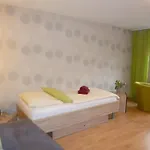 Rheinblick 3 Апартаменты *